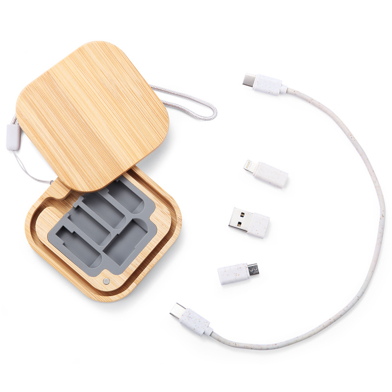Travel Charging Kit